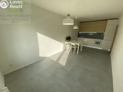 Pronájem bytu 2+KK Havířov, Aloise Jiráska č. 7