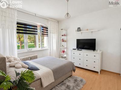 Prodej bytu 3+1 Bílina, Antonína Sovy 638 č. 1