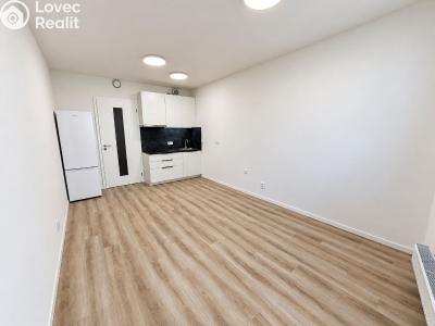 Pronájem bytu 1+KK Praha, Prachnerova č. 1
