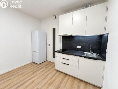 Pronájem bytu 1+KK Praha, Prachnerova č. 4