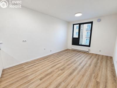 Pronájem bytu 1+KK Praha, Prachnerova č. 5