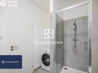 Rent apartment 1+KK Praha, Gerstelova č. 13