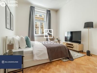 Pronájem bytu 1+1 Praha, Řipská č. 5