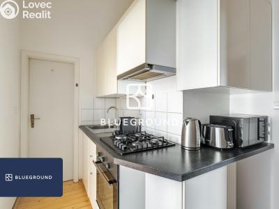 Pronájem bytu 1+1 Praha, Řipská č. 12