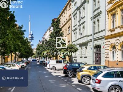 Pronájem bytu 1+1 Praha, Řipská č. 19
