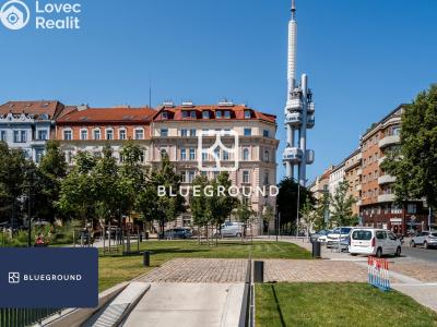 Pronájem bytu 1+1 Praha, Řipská č. 23