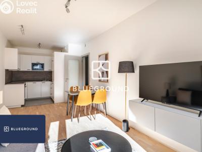 Rent apartment 2+KK Praha, Kaplířova č. 4