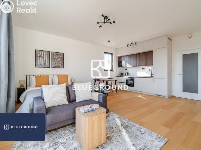 Pronájem bytu 1+KK Praha, V třešňovce č. 5