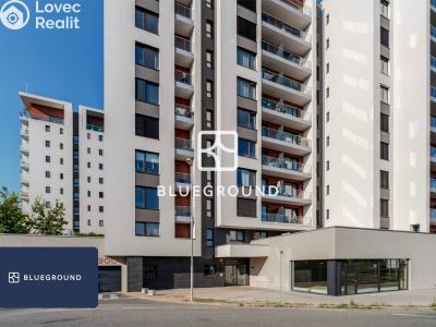 Pronájem bytu 1+KK Praha, V třešňovce č. 21