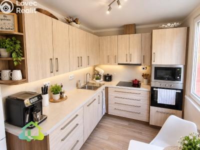 Sale apartment 3+1 Liberec, Letná č. 6