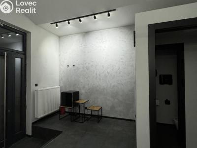 Pronájem obchodního prostoru Praha, Bořivojova č. 5