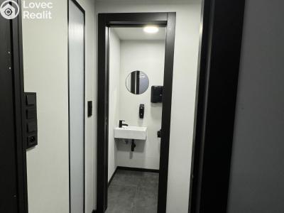 Pronájem obchodního prostoru Praha, Bořivojova č. 11