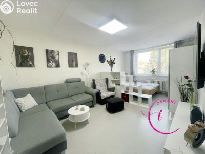 Rent apartment 3+1 Jihlava, Březinova č. 1