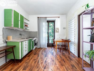 Sale family house Dobšice, Vilová č. 15