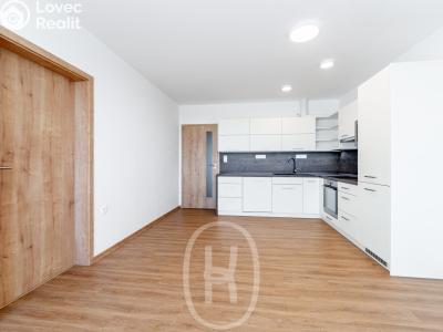 Rent apartment 3+KK Moravské Budějovice, Jechova č. 2