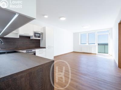 Rent apartment 3+KK Moravské Budějovice, Jechova č. 3
