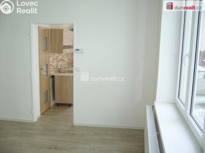 Оренда квартири 1+1 Děčín, Plavební č. 4