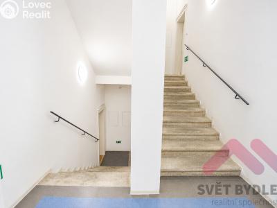 Pronájem bytu 2+KK Praha, Kubelíkova č. 18