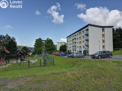 Rent apartment 1+1 Rokytnice nad Jizerou č. 1