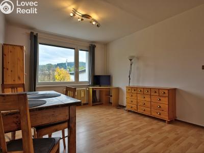 Rent apartment 1+1 Rokytnice nad Jizerou č. 2