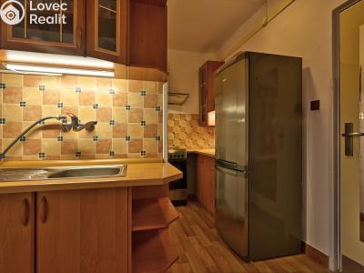 Rent apartment 1+1 Rokytnice nad Jizerou č. 3