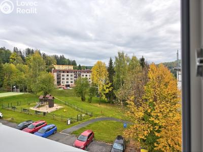 Rent apartment 1+1 Rokytnice nad Jizerou č. 5