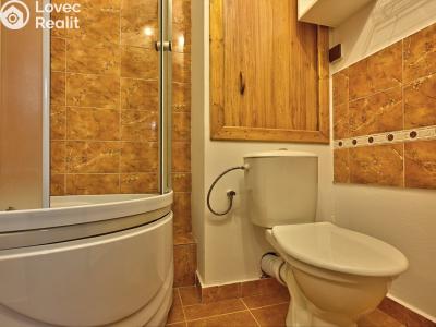 Rent apartment 1+1 Rokytnice nad Jizerou č. 6