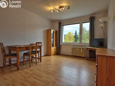 Rent apartment 1+1 Rokytnice nad Jizerou č. 8