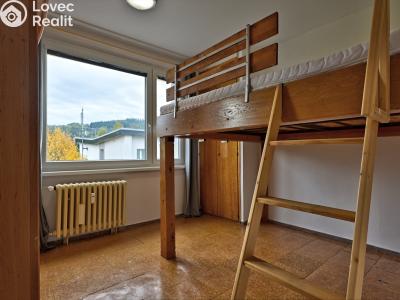 Rent apartment 1+1 Rokytnice nad Jizerou č. 10