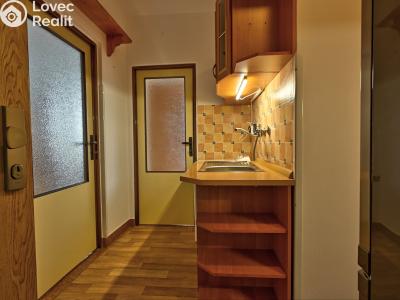 Rent apartment 1+1 Rokytnice nad Jizerou č. 11