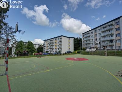 Rent apartment 1+1 Rokytnice nad Jizerou č. 14