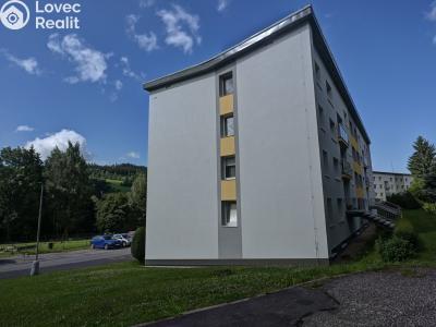 Rent apartment 1+1 Rokytnice nad Jizerou č. 16