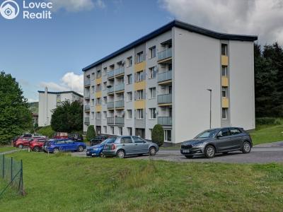 Rent apartment 1+1 Rokytnice nad Jizerou č. 17