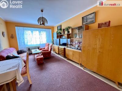 Rent apartment 2+1 Kralupy nad Vltavou, Družstevní č. 13
