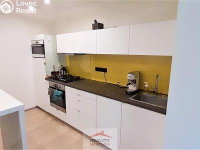 Rent apartment 2+KK Valašské Meziříčí, Výletní č. 11