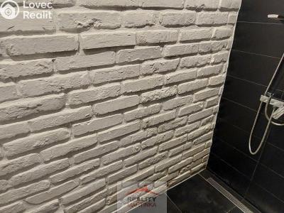 Rent apartment 2+KK Valašské Meziříčí, Výletní č. 12