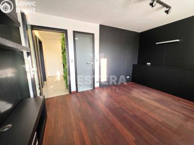 Rent villa Praha, Za Lužinami č. 13