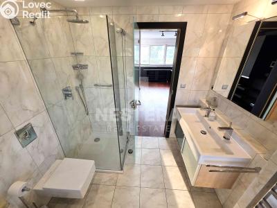 Rent villa Praha, Za Lužinami č. 22