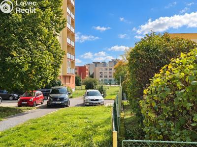 Sale apartment 2+1 Příbram, Jana Drdy 490 č. 8