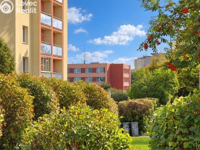 Sale apartment 2+1 Příbram, Jana Drdy 490 č. 9