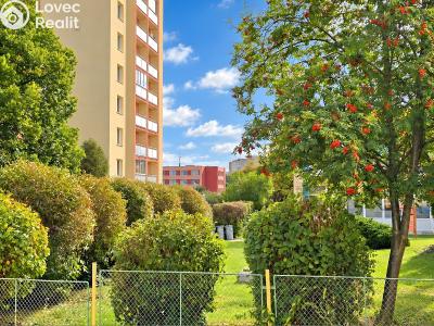Sale apartment 2+1 Příbram, Jana Drdy 490 č. 10