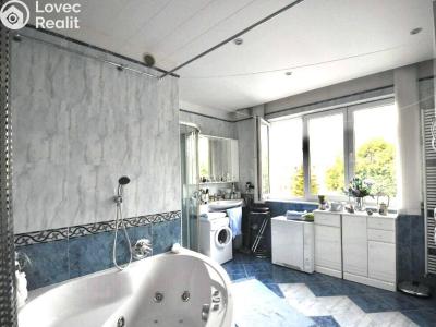 Pronájem bytu 1+1 Praha č. 6