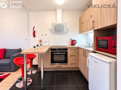 Pronájem bytu 1+KK Brno, U Leskavy 103 č. 1