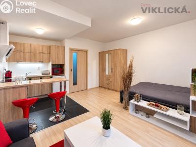 Pronájem bytu 1+KK Brno, U Leskavy 103 č. 6
