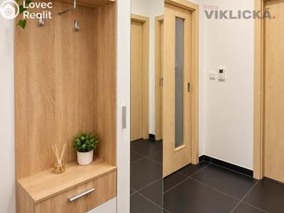 Pronájem bytu 1+KK Brno, U Leskavy 103 č. 8