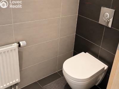 Pronájem bytu 1+KK Brno, U Leskavy 103 č. 10