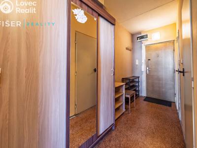 Продажа квартиры 2+KK Brno, Spodní č. 13