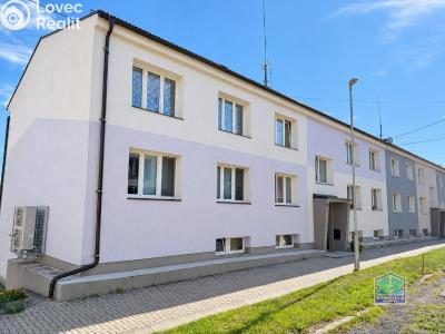 Prodej bytu 2+1 Lesná č. 1