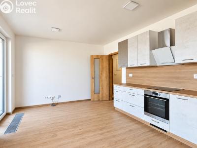 Pronájem bytu 2+KK Praha, Haenkeho č. 2