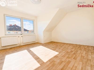 Sale family house Únanov č. 23